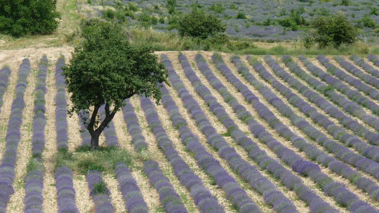 Mas Solige Carpentras Εξωτερικό φωτογραφία