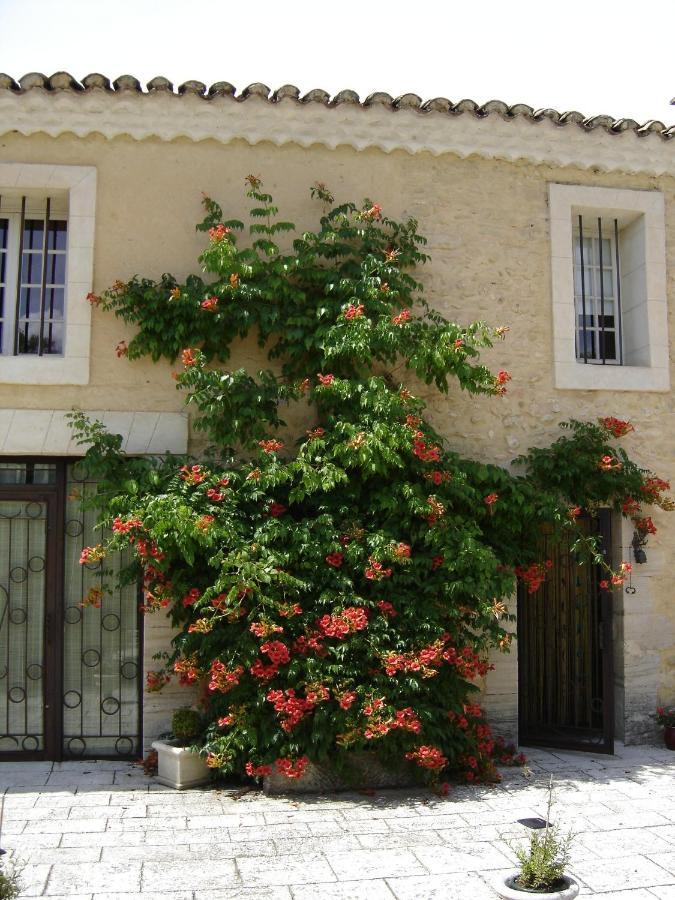 Mas Solige Carpentras Εξωτερικό φωτογραφία